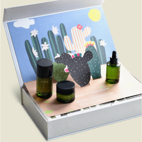 Fresh Cactus Kit