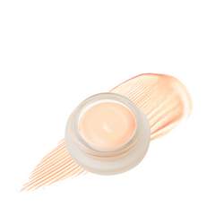 Duet Perfecting Concealer