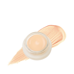 Duet Perfecting Concealer