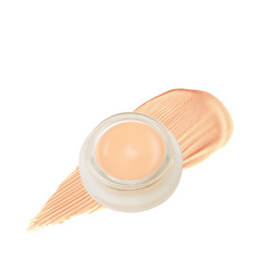 Duet Perfecting Concealer